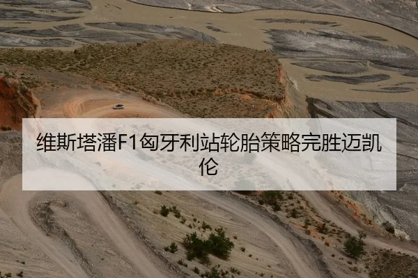 维斯塔潘F1匈牙利站轮胎策略完胜迈凯伦