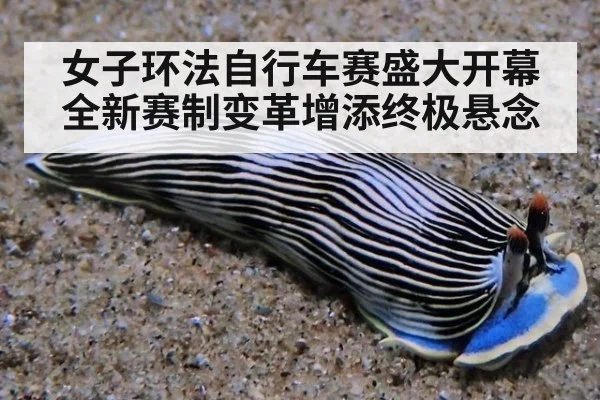 女子环法自行车赛盛大开幕 全新赛制变革增添终极悬念